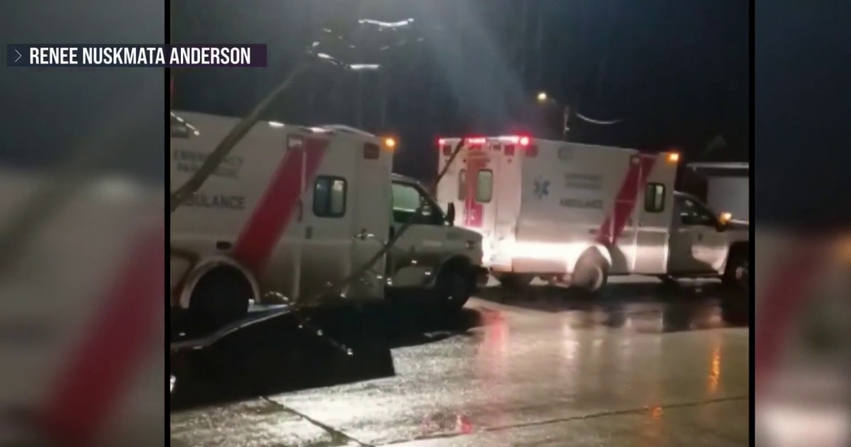 11 injured after grizzly bear attacks group of elementary school students