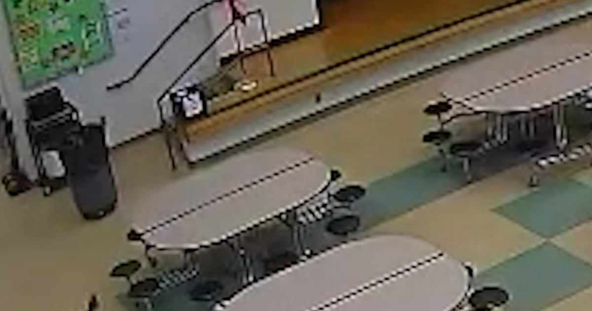 Deer Runs Into Ohio School