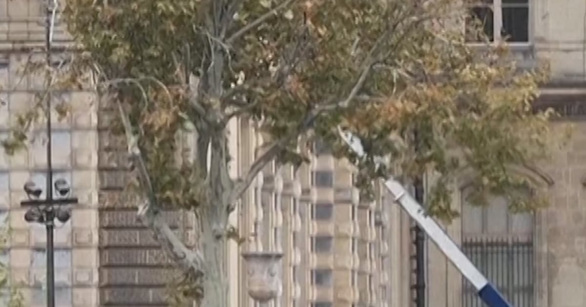 Police Arrest Four More People In Louvre Investigation