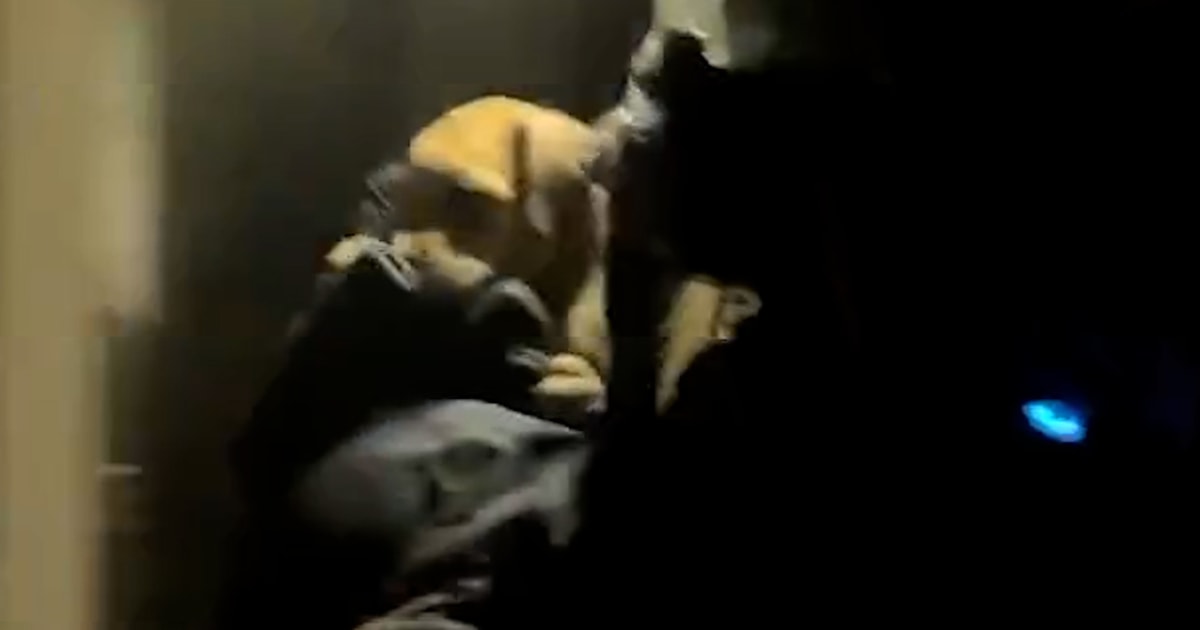 Firefighters Rescue Puppies From Burning House