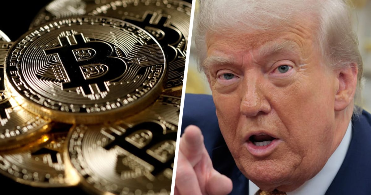 Ben McKenzie explains why is Trump ‘single handedly responsible for the rise in crypto’