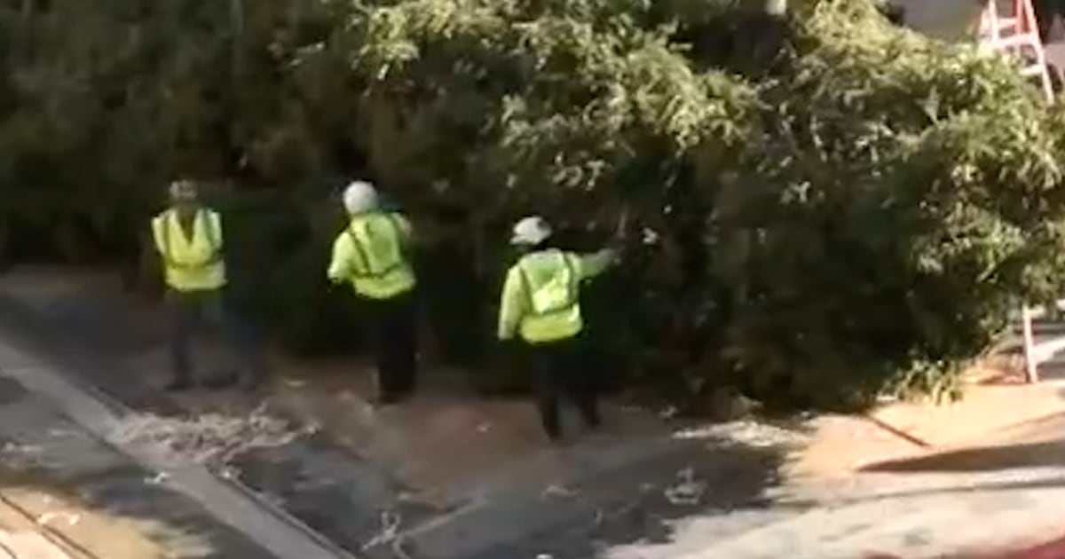 Rockefeller Center Christmas Tree Arrives In New York