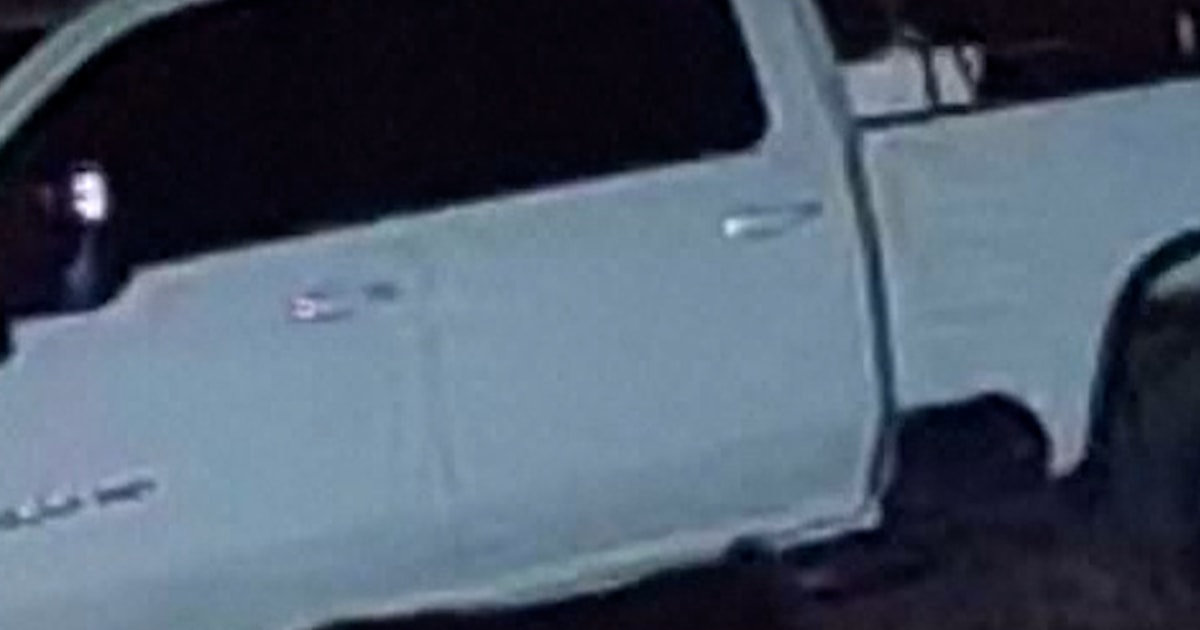 Black Bear Caught Walking Off With Man's New Chainsaw