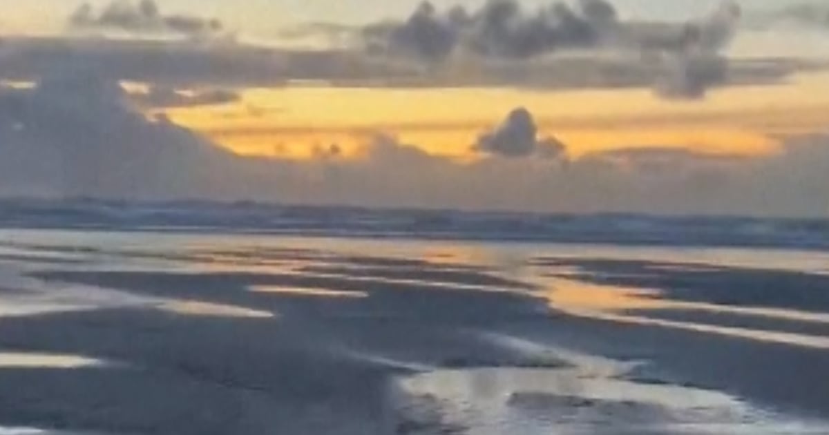 Girl saves shark stranded on an Oregon seaside