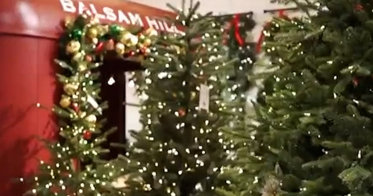 Tariffs Could Impact Cost Of Artificial Christmas Trees