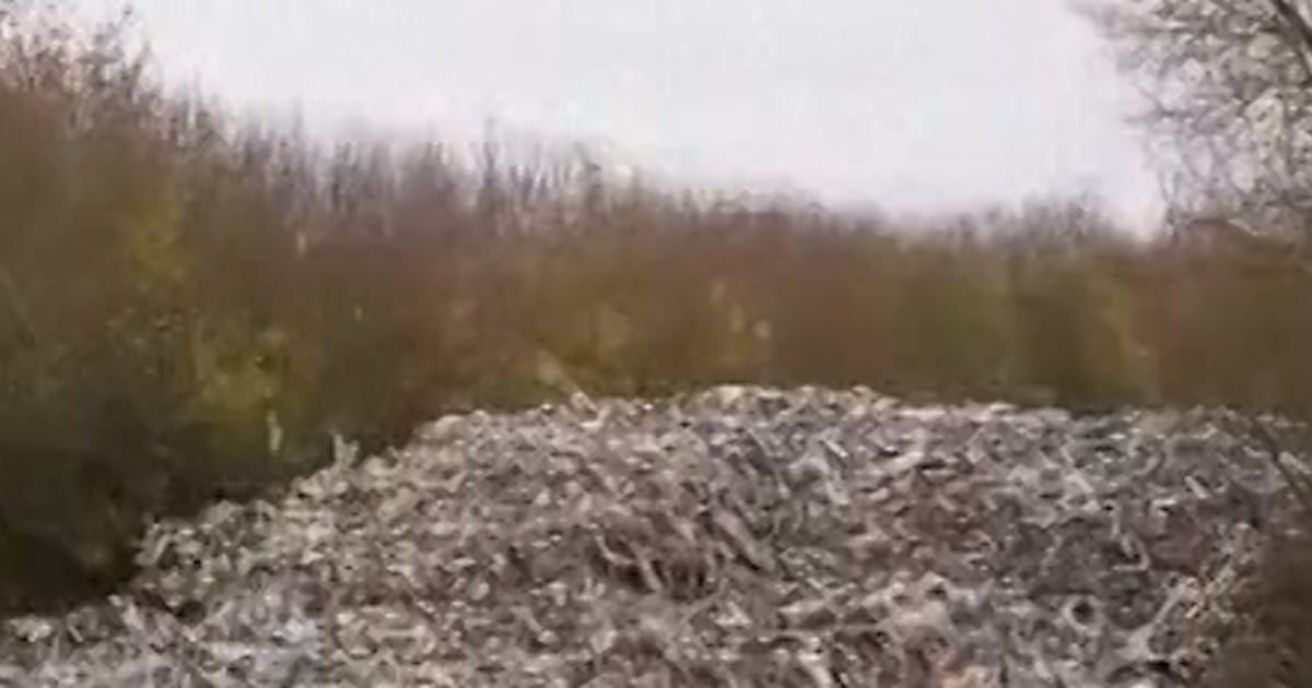 Trash Pile Near U.k. Road Poses 'ecological Disaster'
