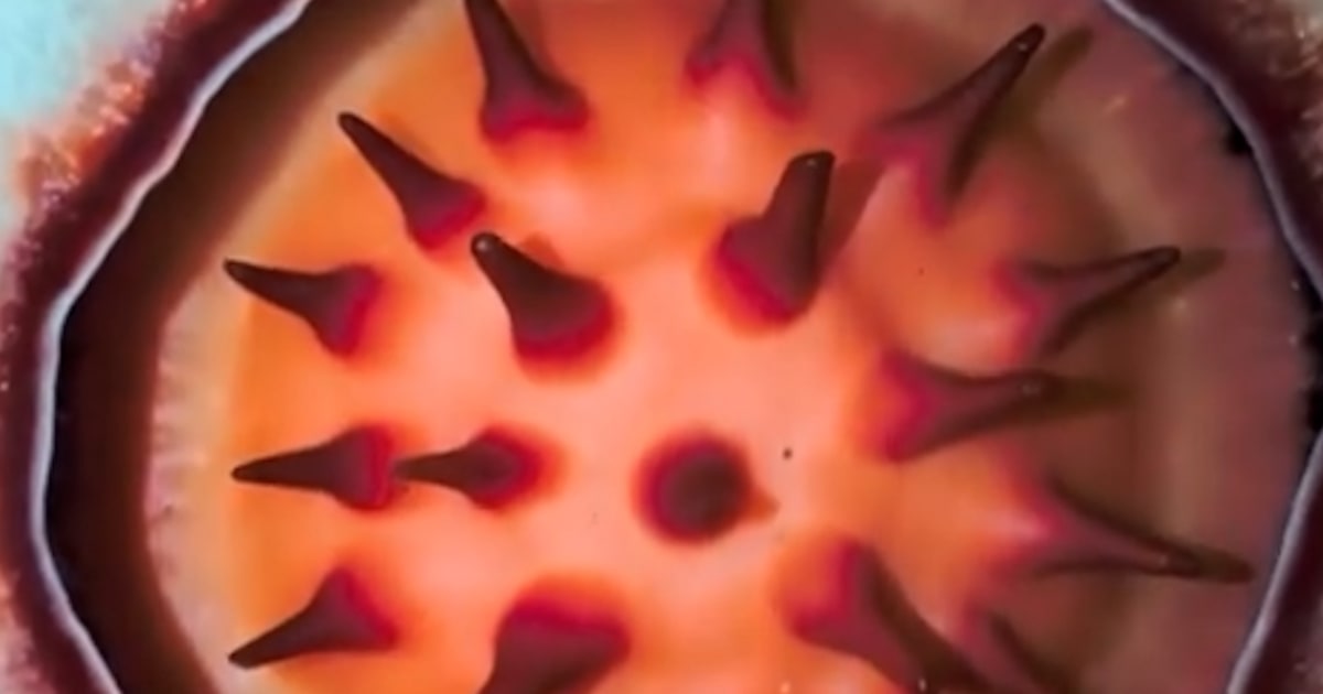 Botanist grows emotional after discovering uncommon flower