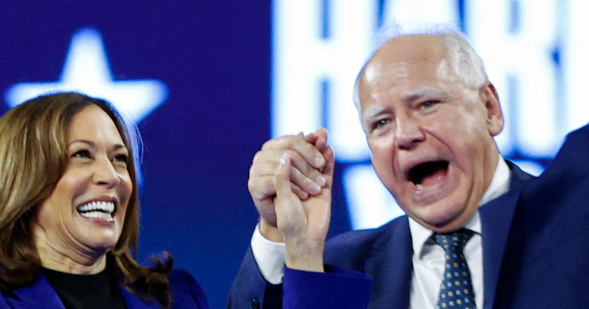 Walz: Harris would be good 2028 candidate, but not only one