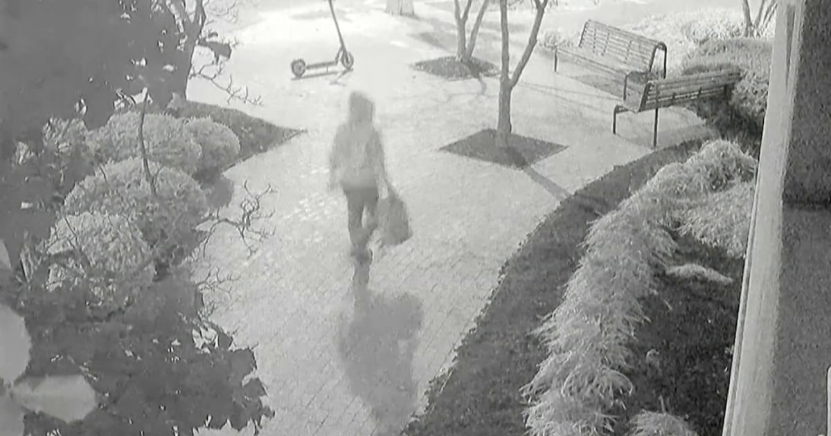 Nike shoe model provided clue in arrest of pipe bomb suspect