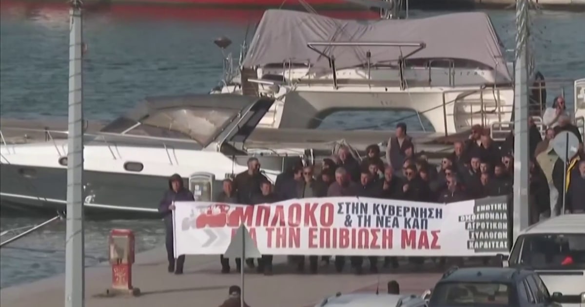 Protesting Greek farmers block largest northern port over delay in E.U. subsidies