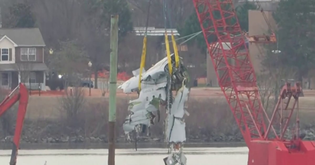 U.S. government takes responsibility for DCA crash