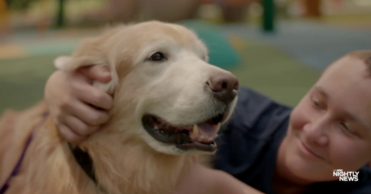 Teen and therapy dog beat cancer together