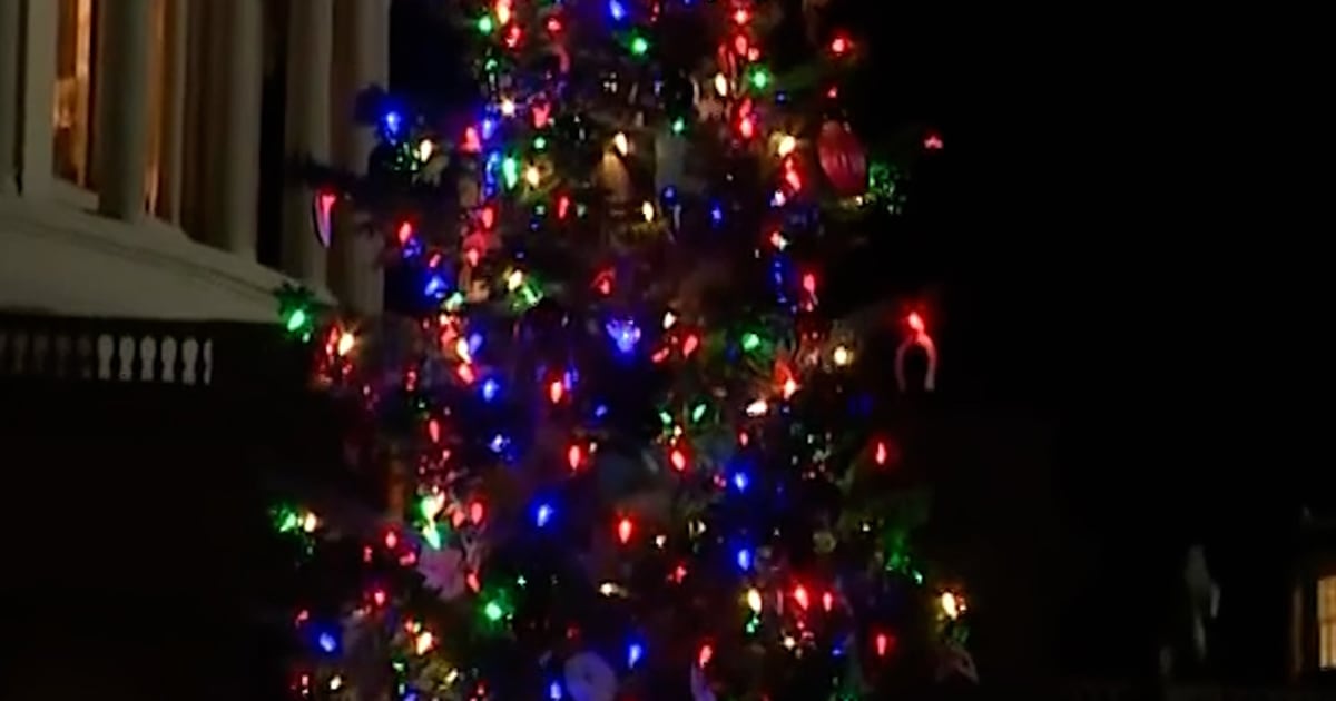 Capitol Christmas tree is lit up in DC