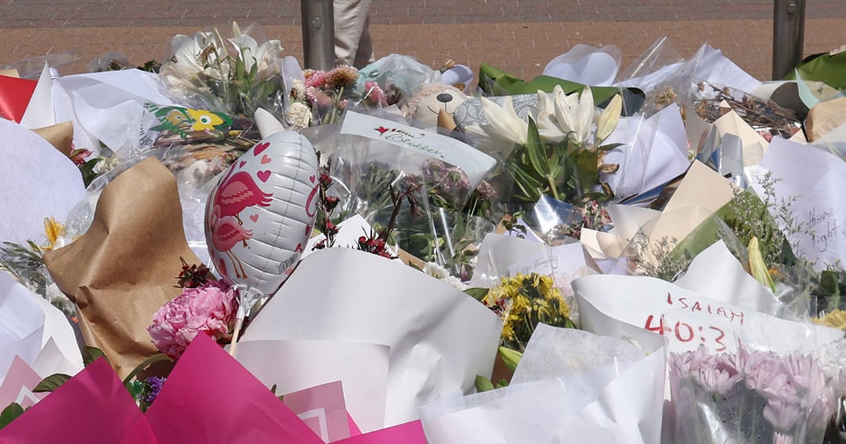 Australia launches gun buyback program after beach attack