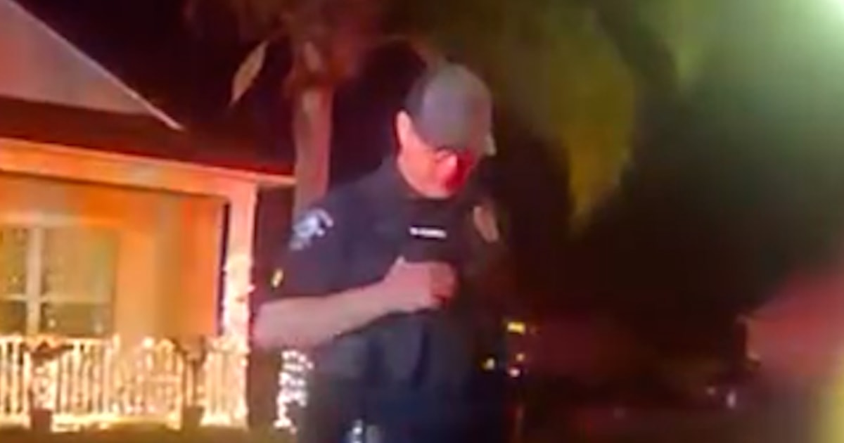 Florida officers rescue dog from burning home