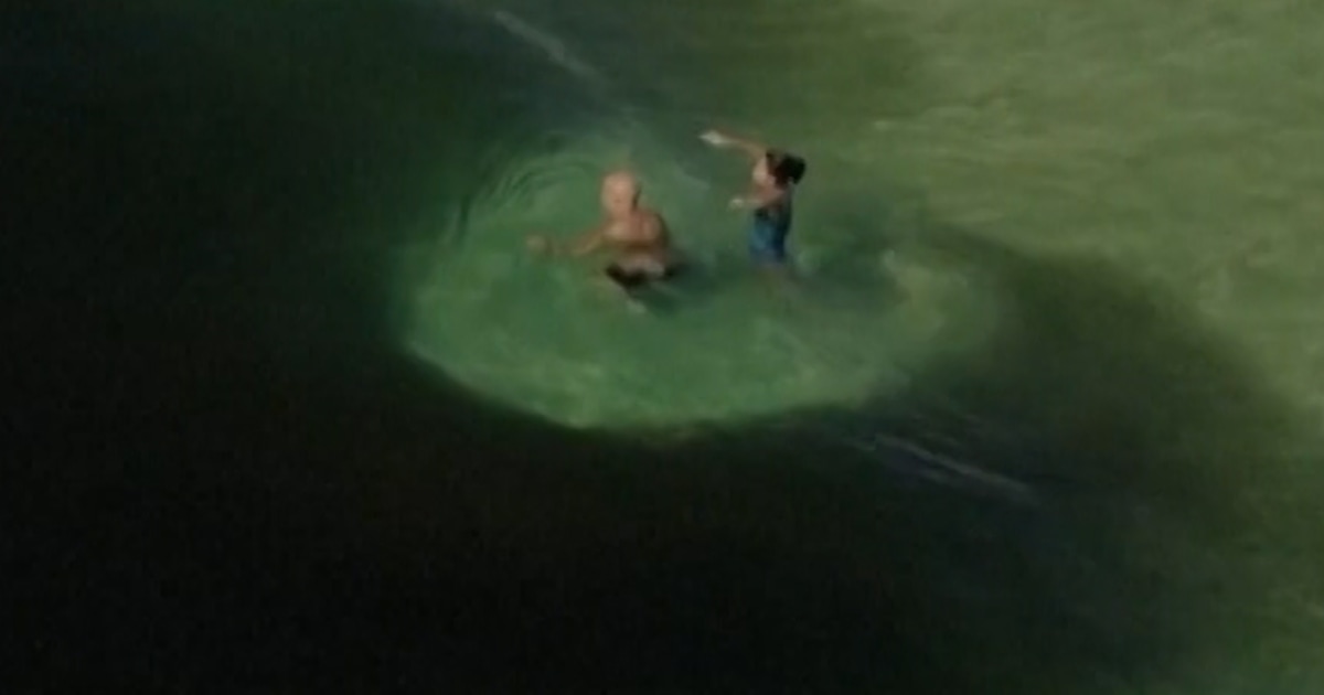 Millions of anchovies surround swimmers at Rio beach