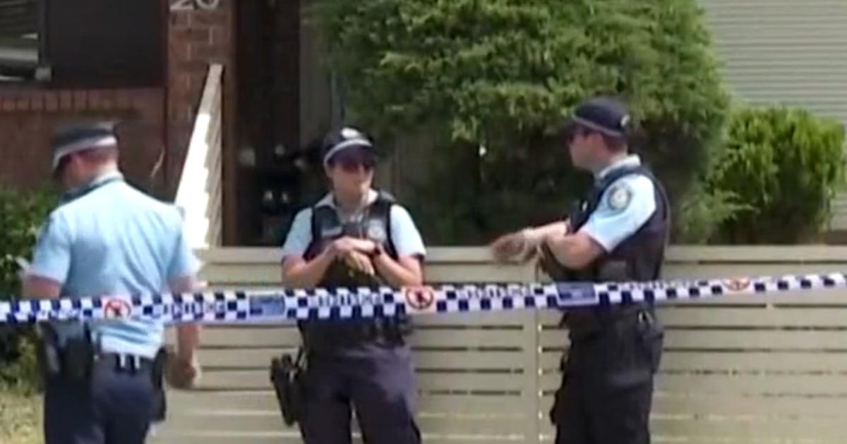 Bondi Seashore capturing suspects recognized as father, son