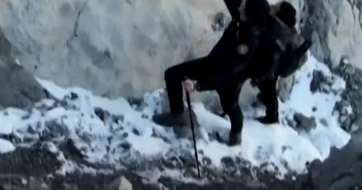 Thousands of dinosaur footprints discovered in Italy