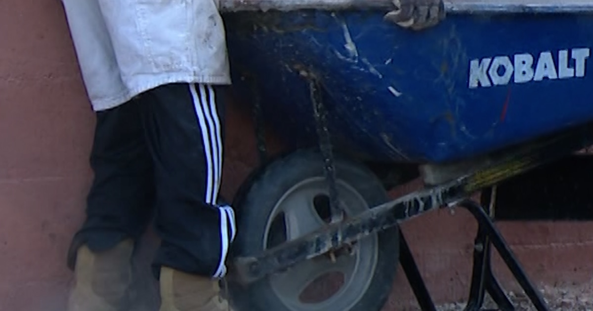 Car goes flying and smashes into St. Louis pet clinic Car goes flying and smashes into St. Louis pet clinic