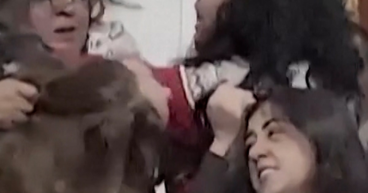 Mexico Metropolis lawmakers break into struggle throughout debate