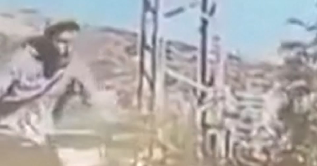 Palestinian hit with automobile whereas praying in West Financial institution