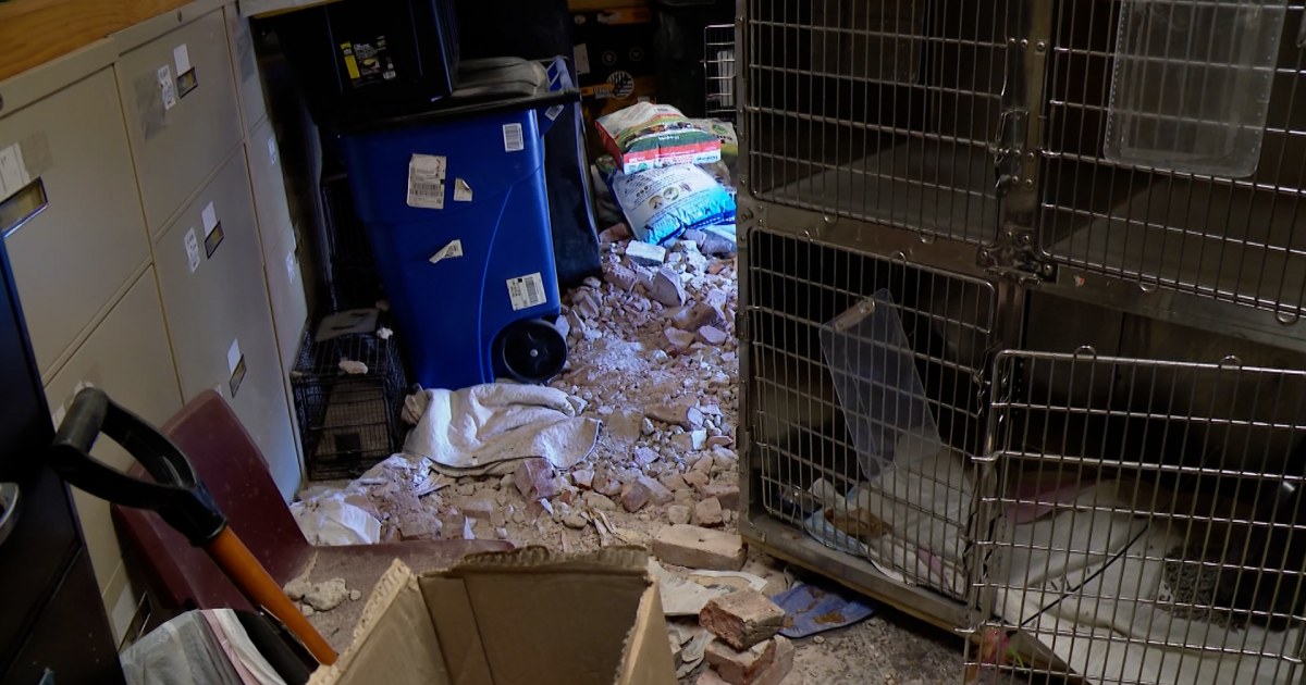 Car goes airborne and smashes into St. Louis pet clinic