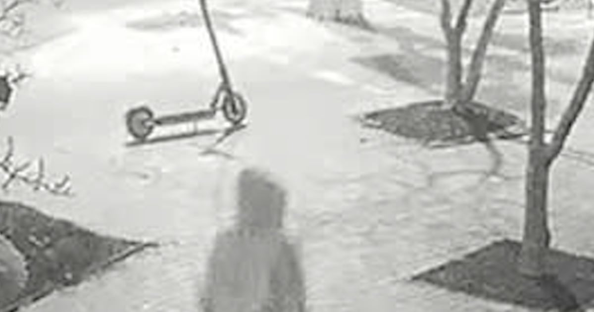 Suspect arrested in January 2021 D.C. pipe bomb case