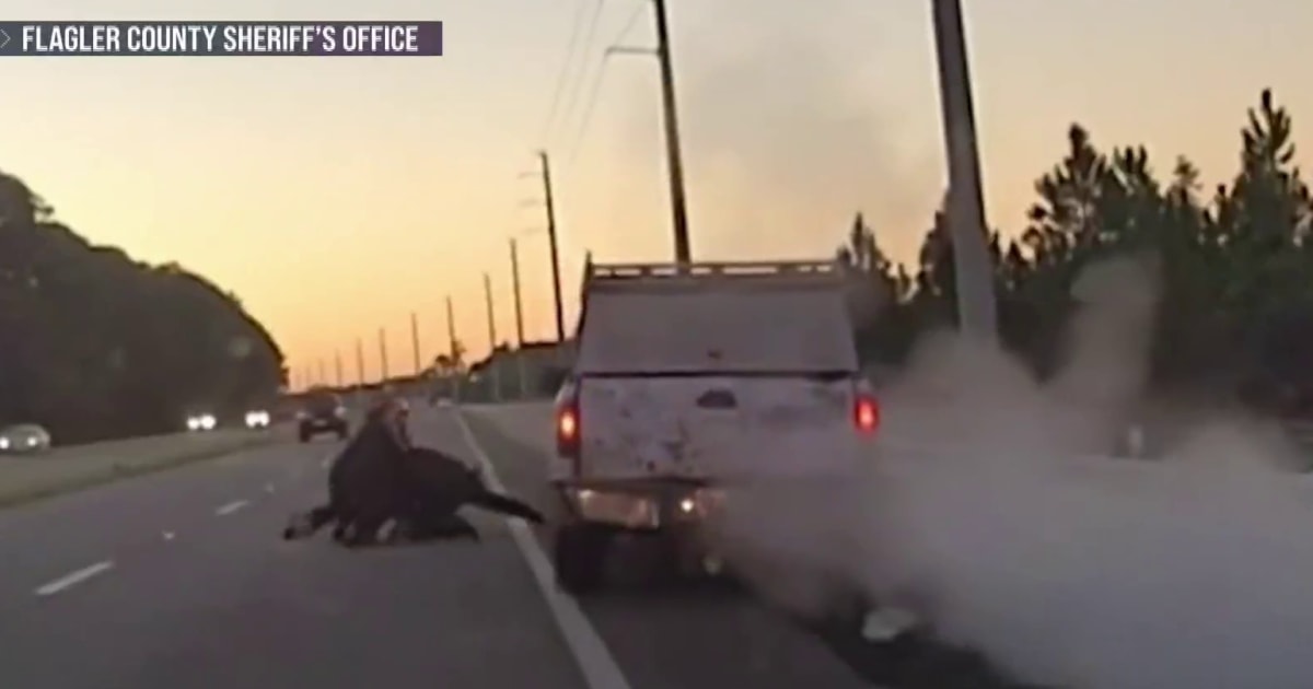 Chaotic Florida traffic stop ends with truck ramming into police vehicle