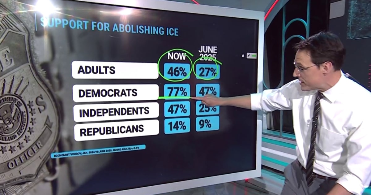 How Americans feel about ICE operations and tactics