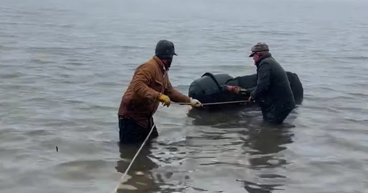 Cow rescued from freezing water by Texas ranchers