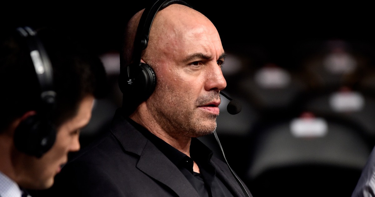 Joe Rogan criticizes ICE tactics: 'Are we really going to be the Gestapo?"