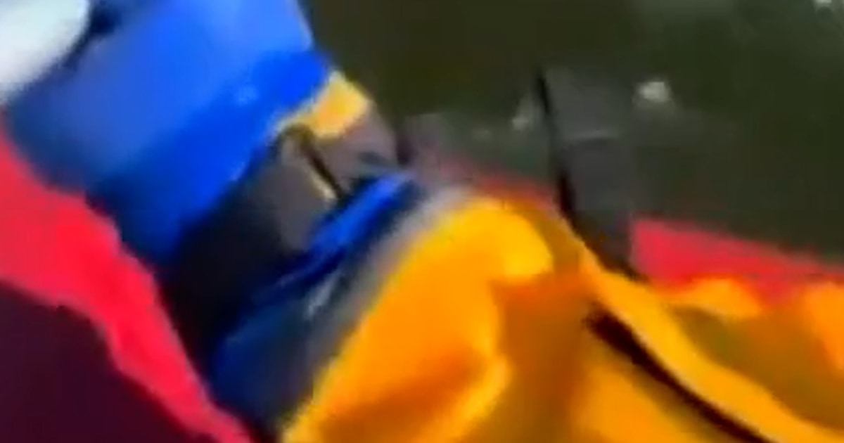 Dog rescued from frozen pond in Missouri