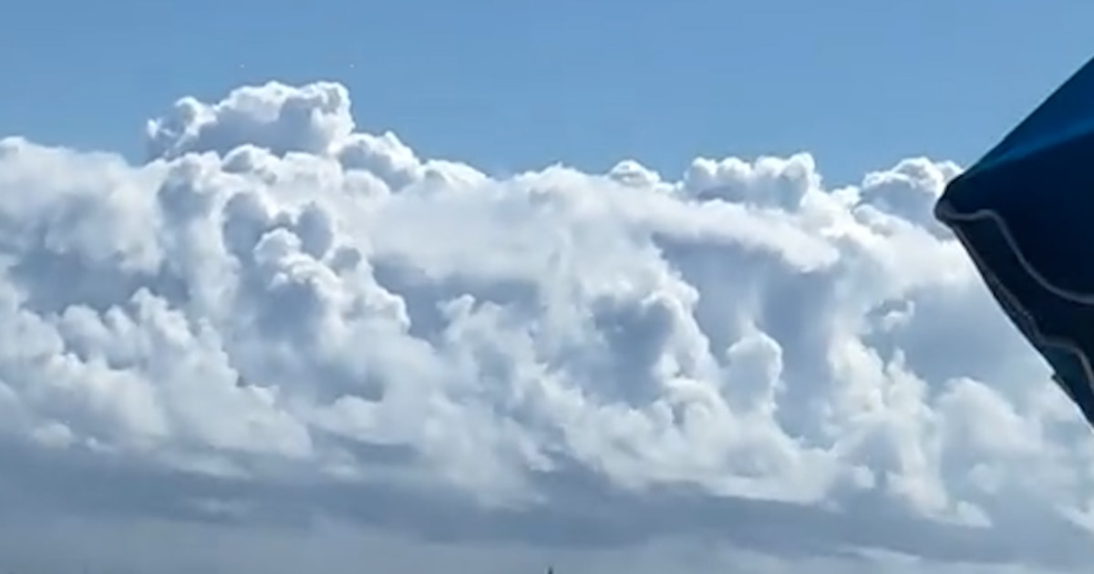 Paraglider survives fall into ocean after malfunction