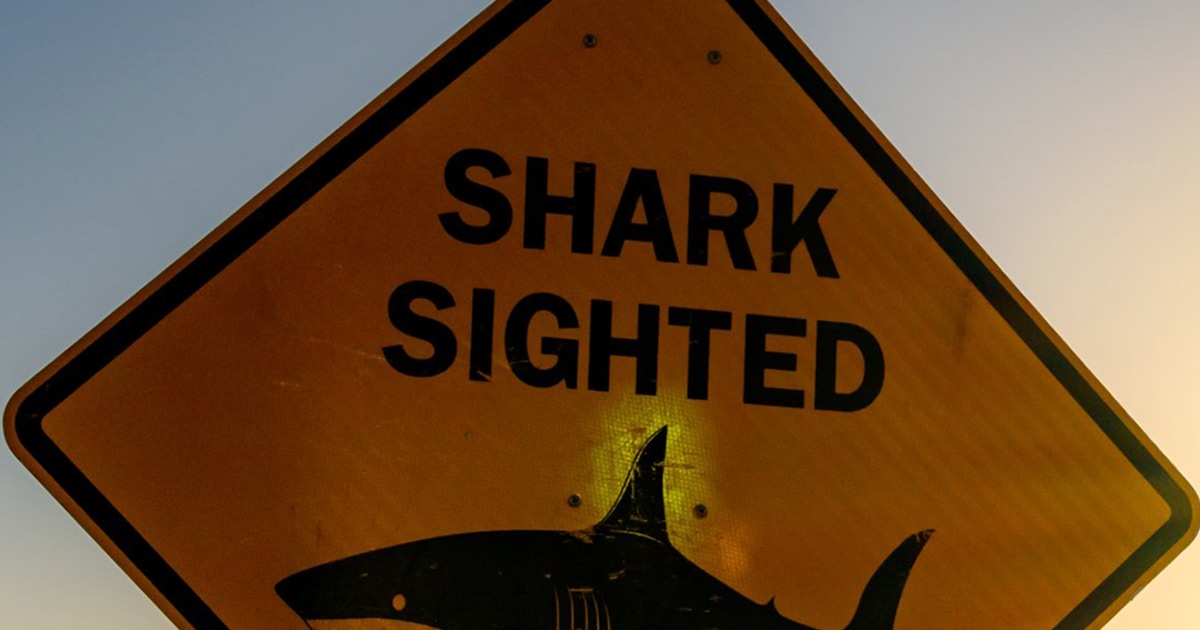 Australia closes dozens of beaches after shark attacks