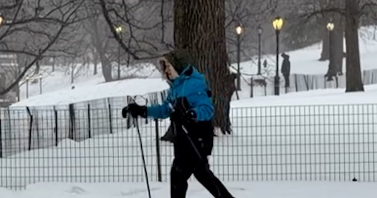 New Yorkers ski, snowshoe and sled in Central Park