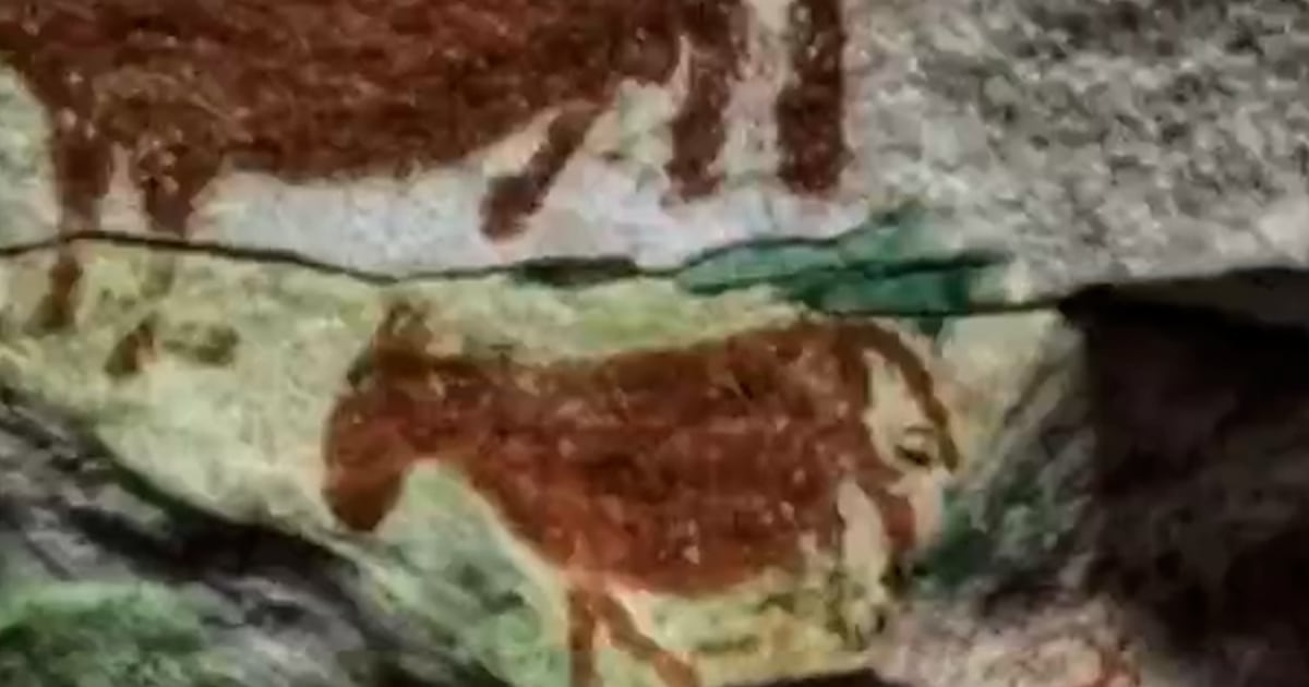 Oldest cave art and handprints discovered in Indonesia