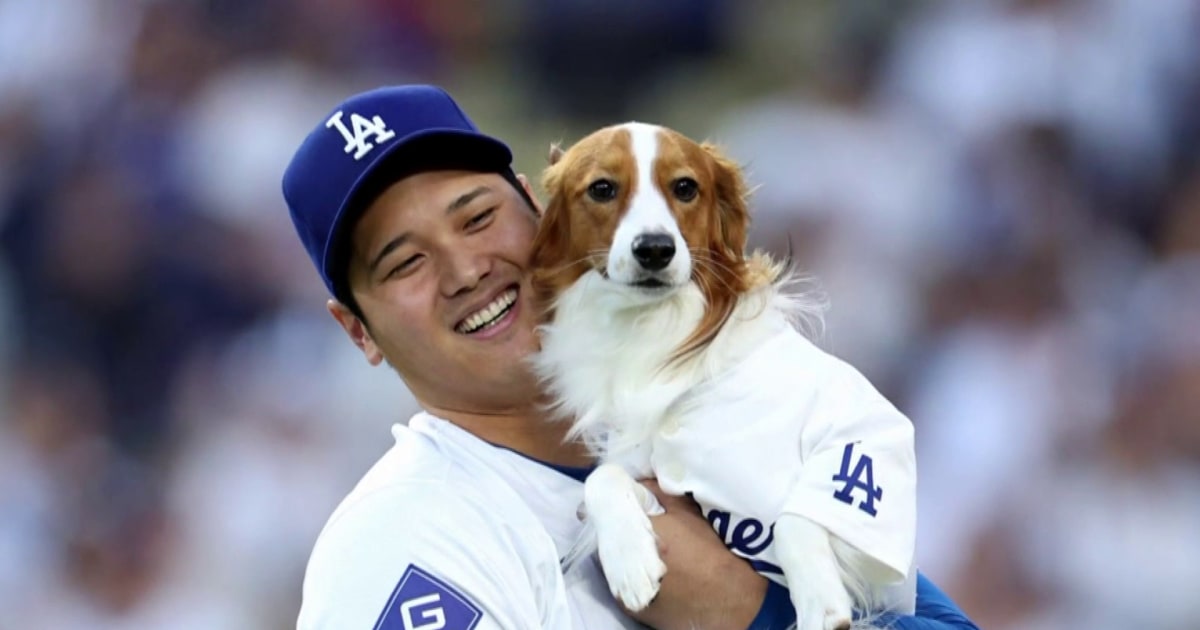 Dodgers star Shohei Ohtani talks baseball, big spending, and his new children’s book