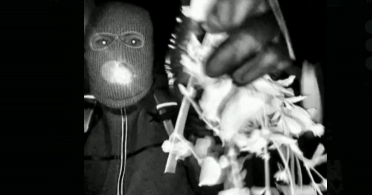 FBI releases surveillance photos of potential subject at Nancy Guthrie's door