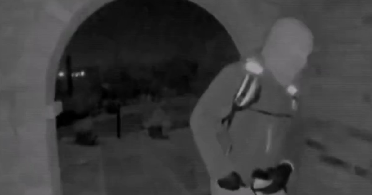 Person detained for questioning in Nancy Guthrie's disappearance 