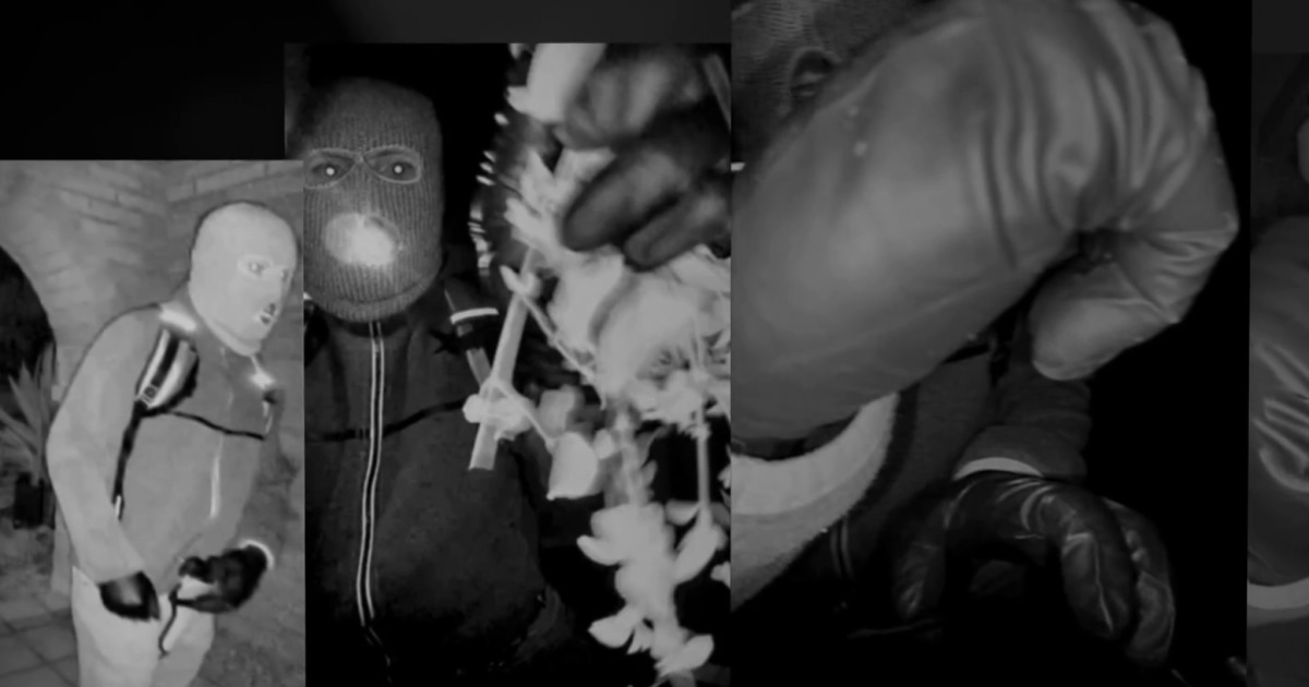 Analyzing photographs of armed man on Nancy Guthrie’s porch