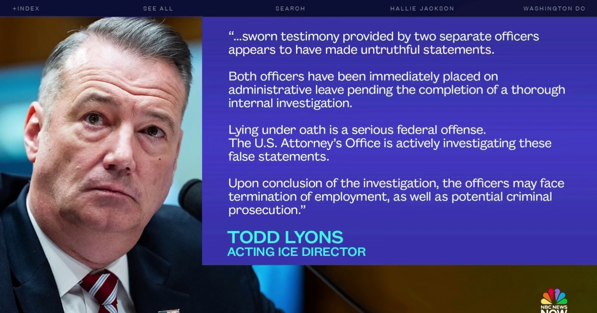 Two ICE agents on leave after appearing to make 'untruthful' statements about shooting