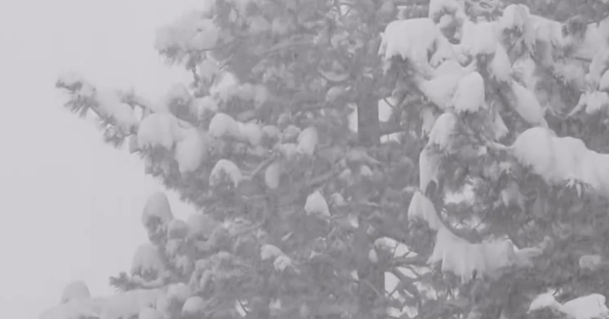 Brutal conditions slow recovery efforts after avalanche