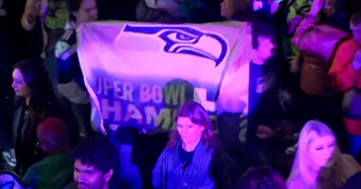 Seattle Seahawks fans celebrate Super Bowl win