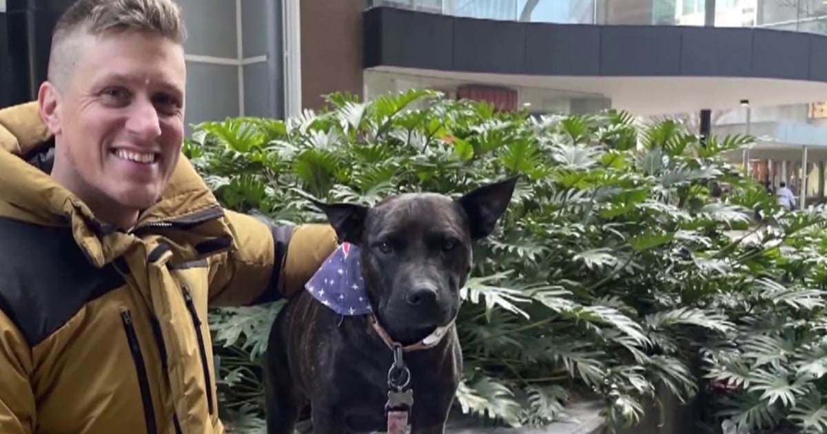 Australian tech entrepreneur uses AI to create cancer treatment for his dog