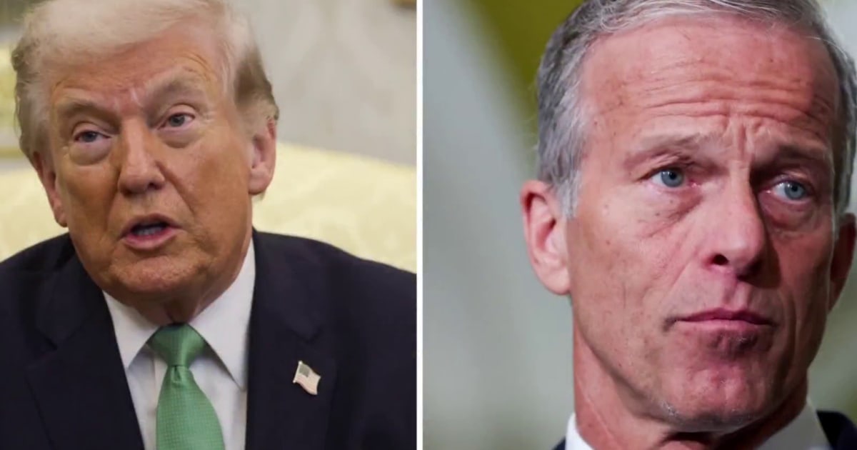 Trump ‘emphatically rejected’ off-ramp presented by GOP to fund parts of DHS