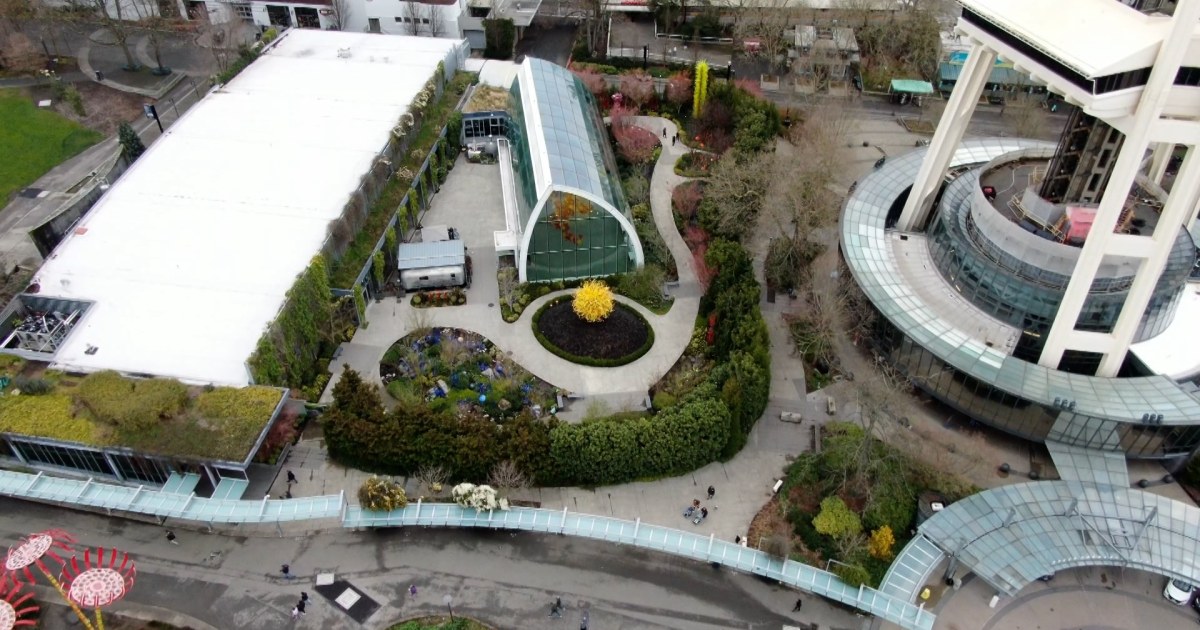 Man causes over $240,000 in damage to glass Chihuly sculptures in Seattle