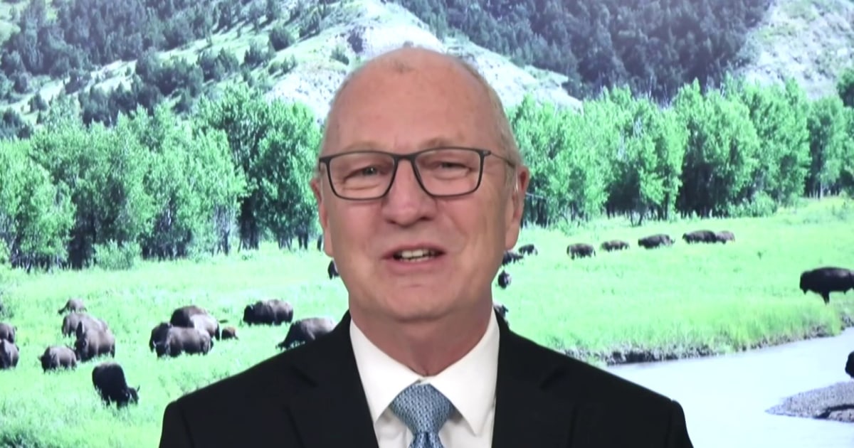 Senate Republican calls for someone to ‘be the adult’ in DHS funding fight