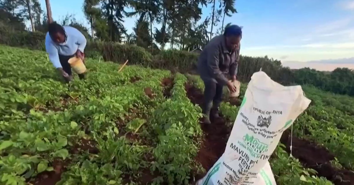 War with Iran threatens global food supply chain