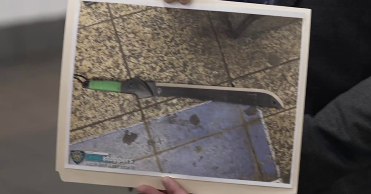 Three injured in machete stabbing at New York City's Grand Central subway station