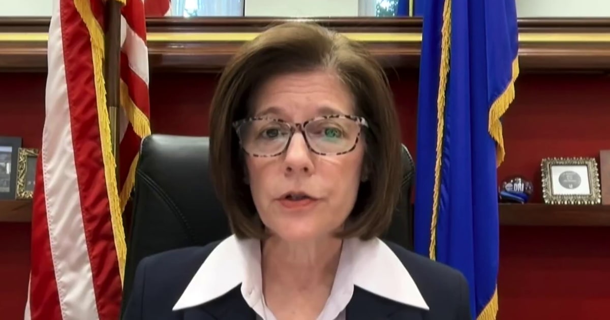 Senate Democrat says moderate candidates in swing states ‘the only way’ to regain the majority